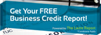 Free Business Credit Report